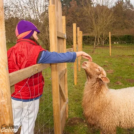 בית נופש Artesoro Baserria