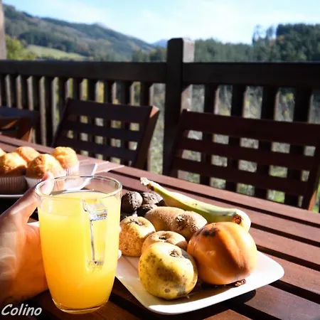 Tatil Evi Artesoro Baserria