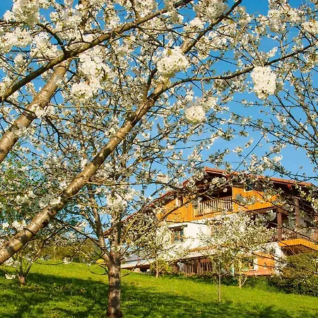 Artesoro Baserria Tatil Evi