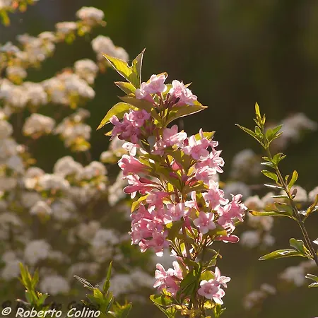 Artesoro Baserria San Pedro de Galdames