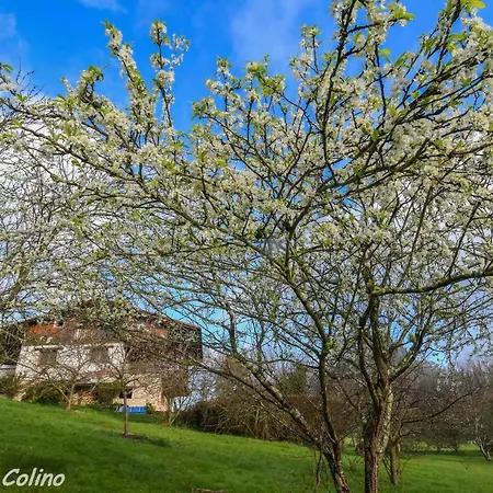 Artesoro Baserria Tatil Evi