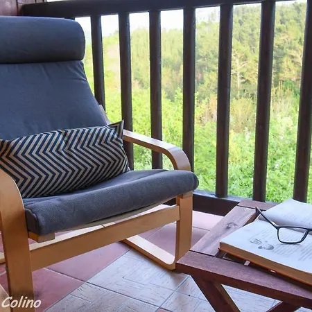 Tatil Evi Artesoro Baserria *