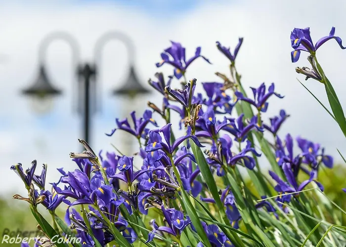 Artesoro Baserria Дом отдыха *