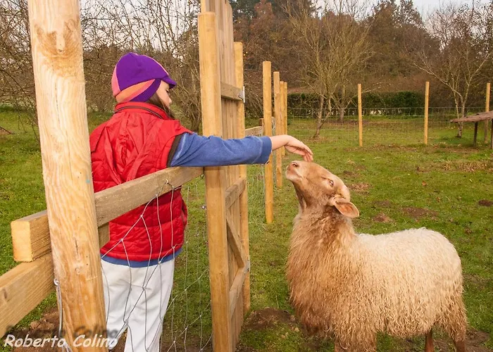 Дом отдыха Artesoro Baserria