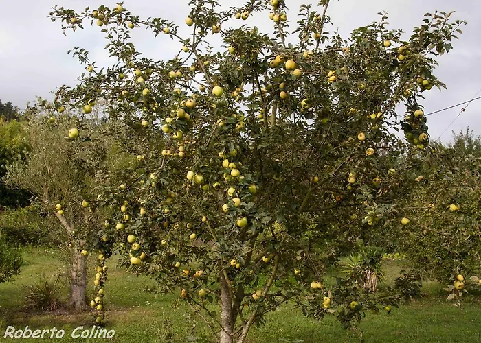 Artesoro Baserria Дом отдыха Сан-Педро-де-Гальдамес