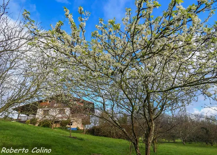 Artesoro Baserria Дом отдыха