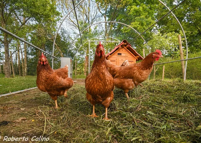 Дом отдыха Artesoro Baserria