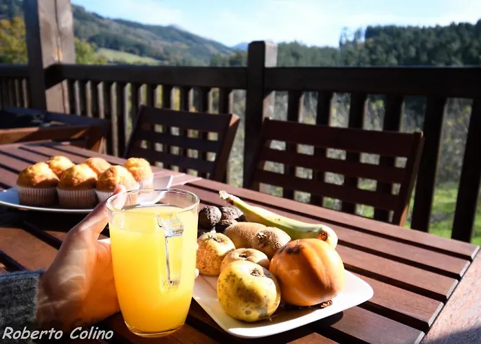 Дом отдыха Artesoro Baserria