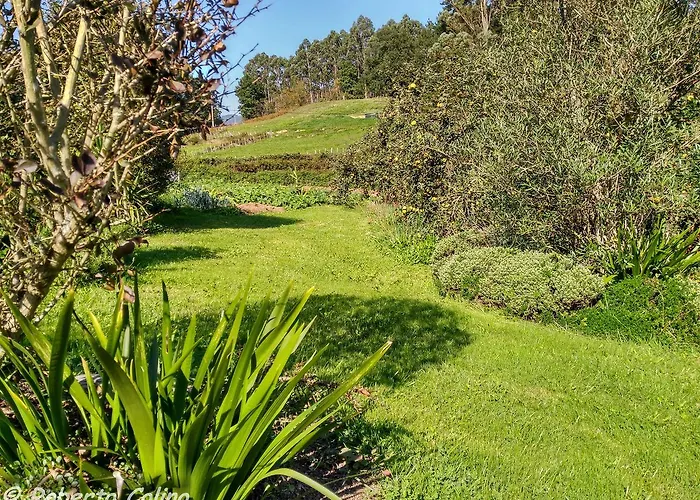 Дом отдыха Artesoro Baserria *