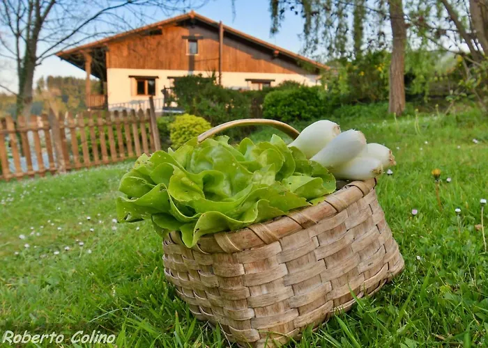 Artesoro Baserria * Сан-Педро-де-Гальдамес